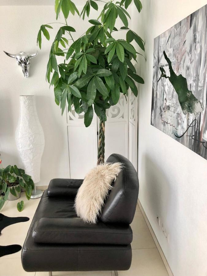 Seestern Apartment ฟรีดริชส์ฮาเฟน ภายนอก รูปภาพ